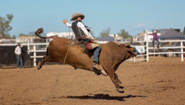 controversy surrounding rodeos