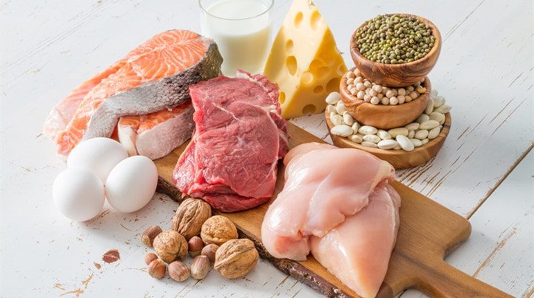 foods contain most protein