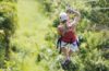 know about ziplining
