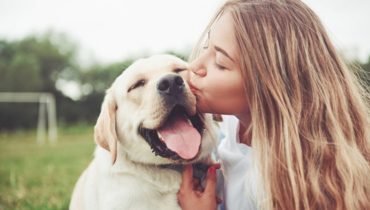 ways to show love to dog