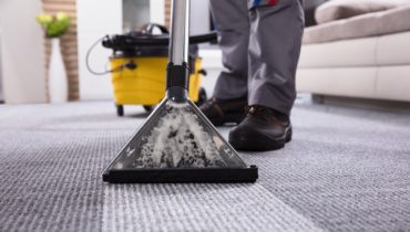 protect carpet from damage