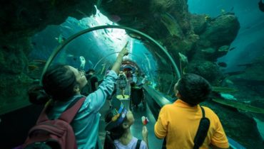top kids attractions in singapore