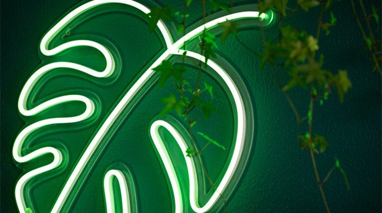design creative spaces with custom neon signs